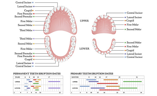 Dental Poster
