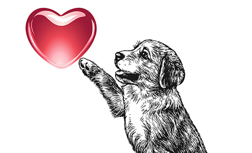 Dog and Heart