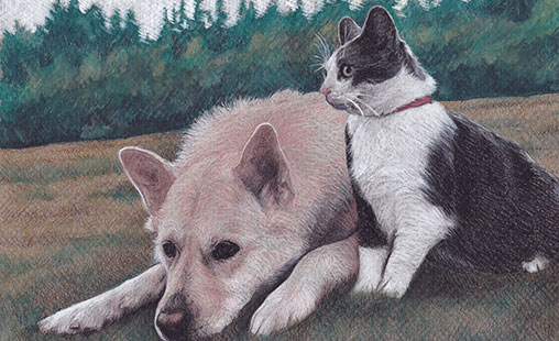 Cat and Dog