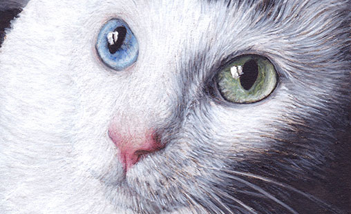 Hester
