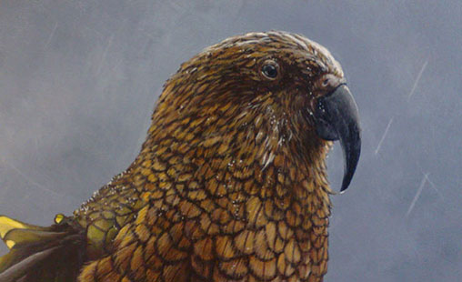Kea