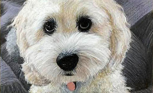 White Dog